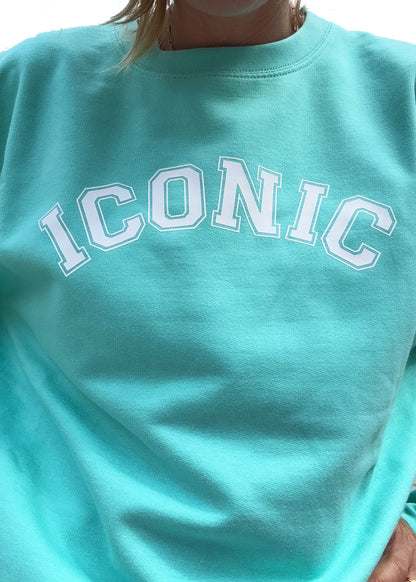 Adult Iconic Sweatshirt