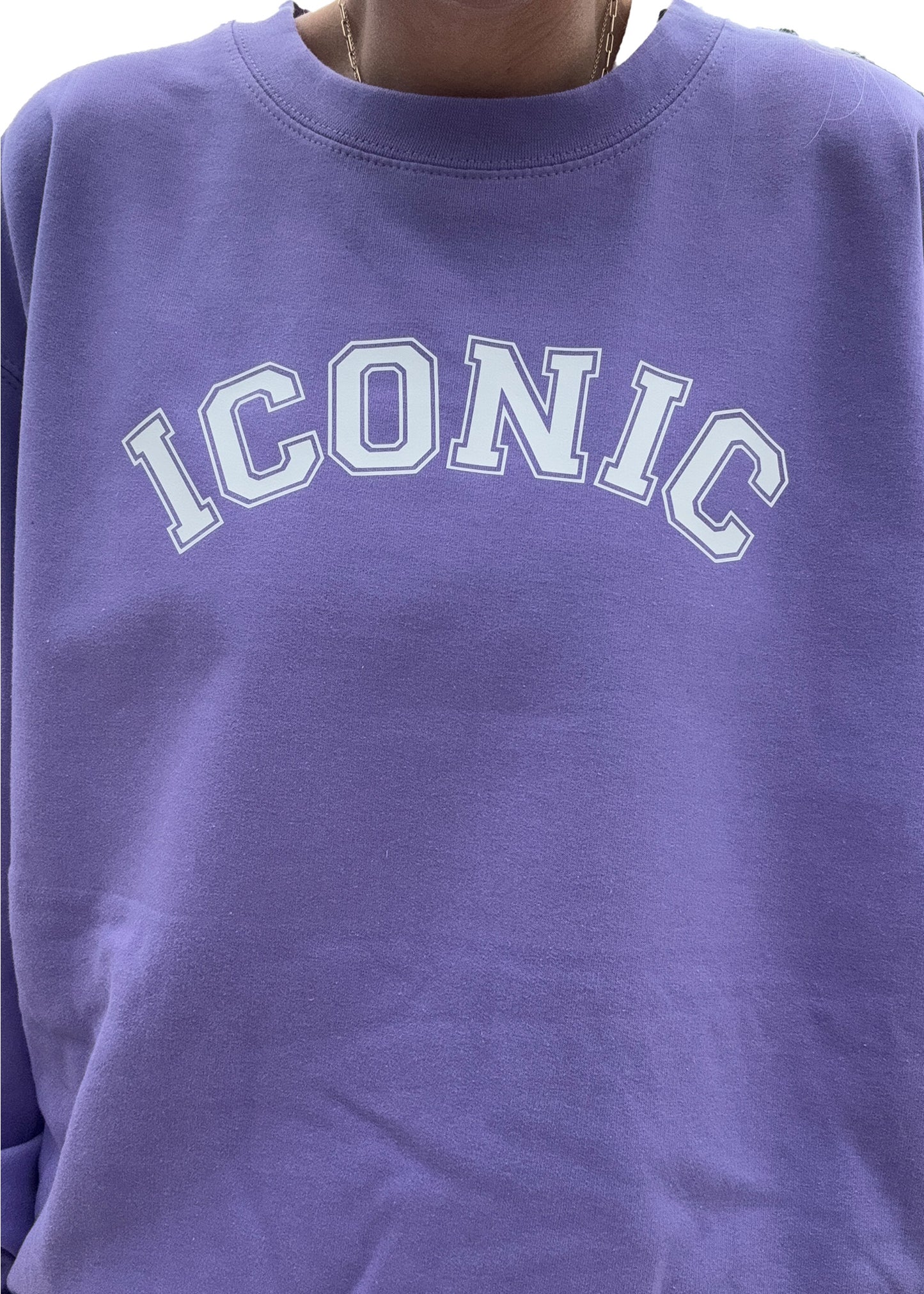 Adult Iconic Sweatshirt